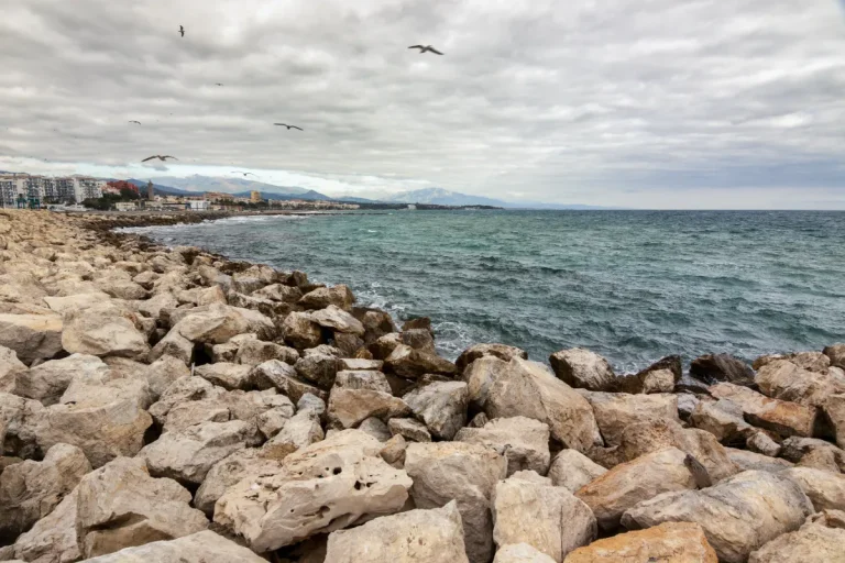 Puerto deportivo y pesquero de Estepona