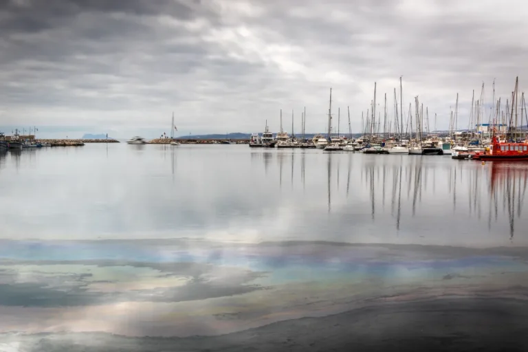 Puerto deportivo y pesquero de Estepona