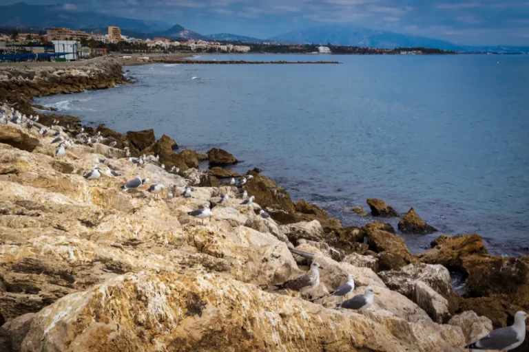 Puerto deportivo y pesquero de Estepona