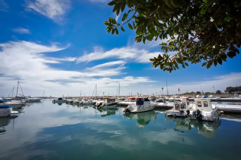 Puerto deportivo y pesquero de Estepona