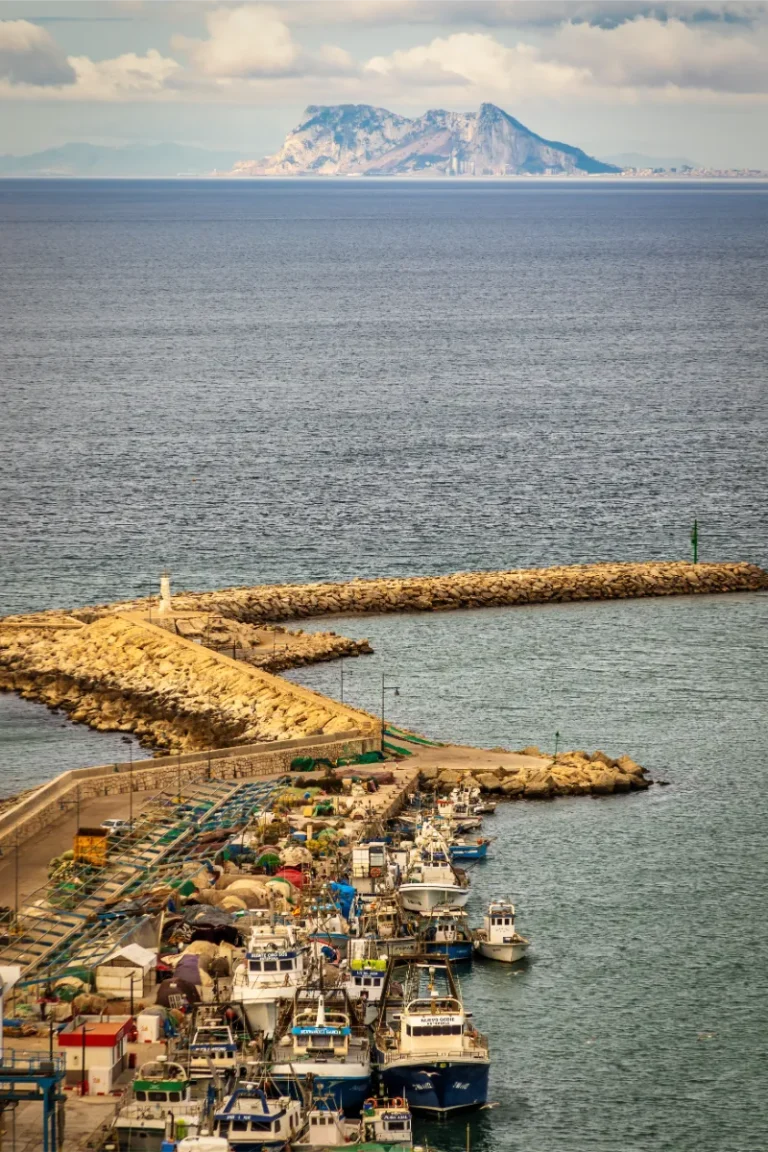 Puerto deportivo y pesquero de Estepona