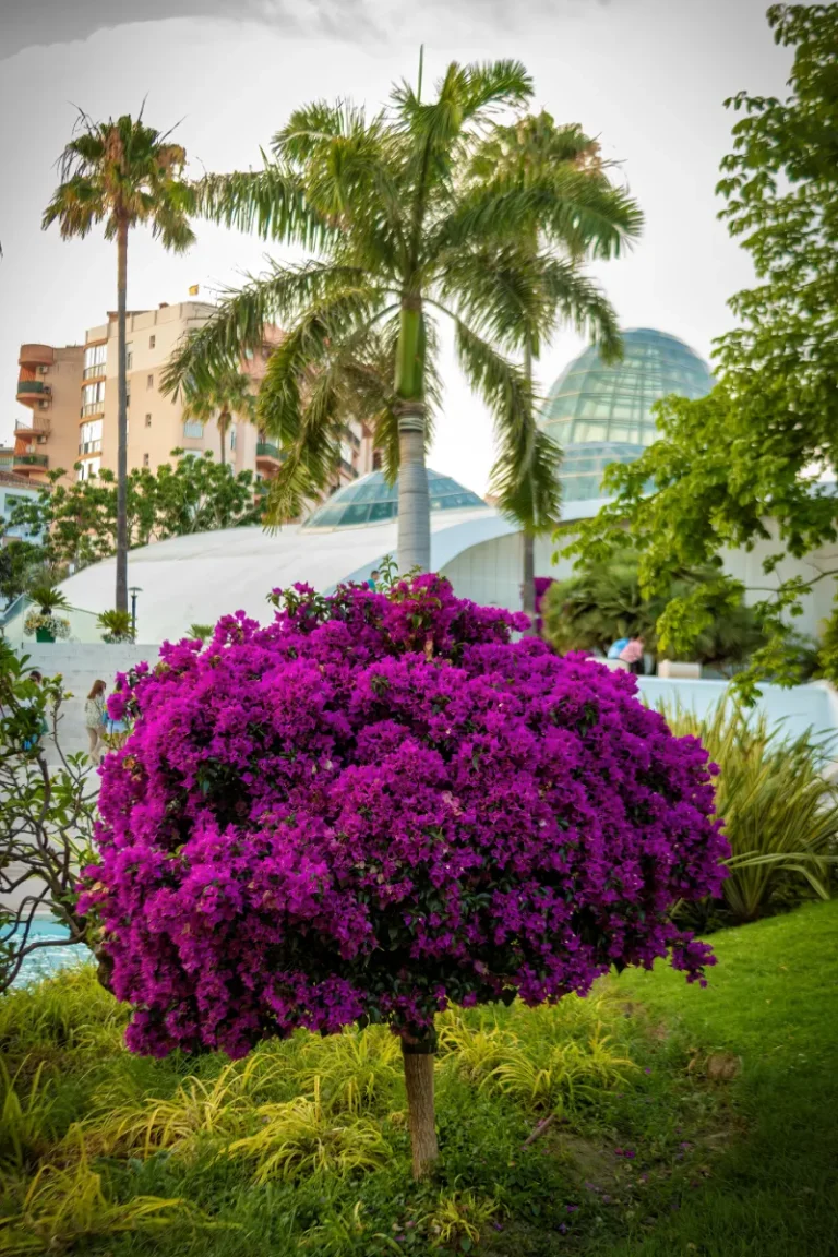 orquidario de estepona