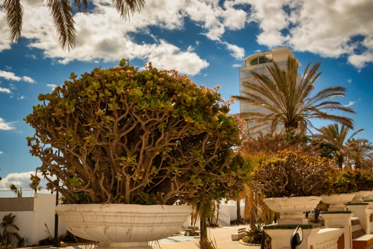 Paseo marítimo y playas de Estepona