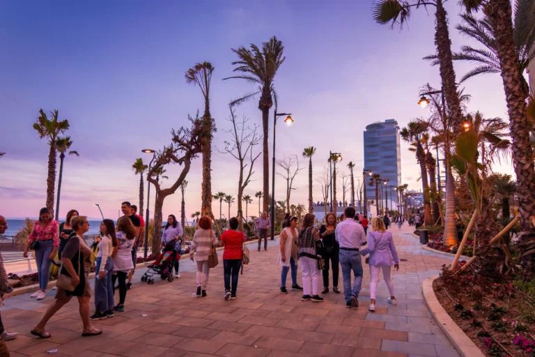 Paseo marítimo y playas de Estepona