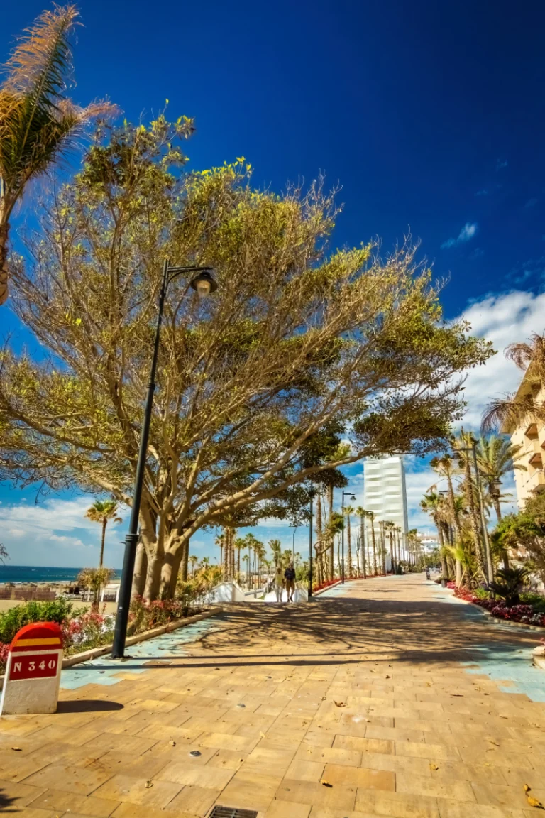 Paseo marítimo y playas de Estepona