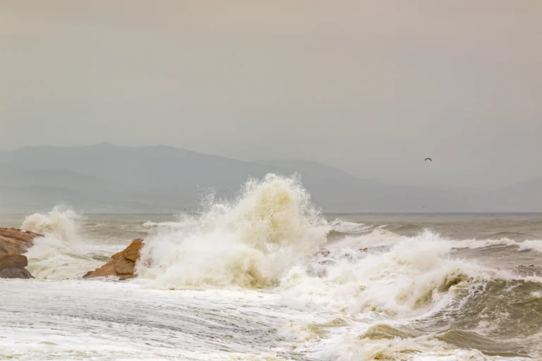 Paseo marítimo y playas de Estepona