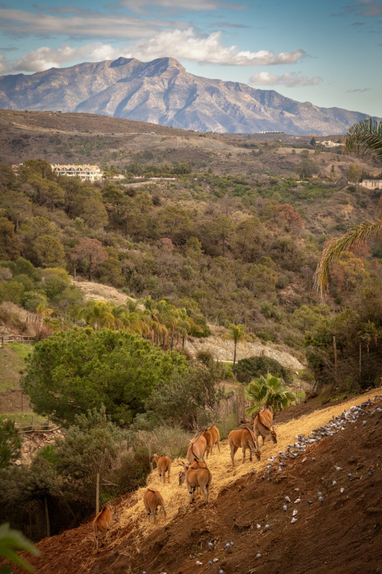 Selwo Aventura Estepona