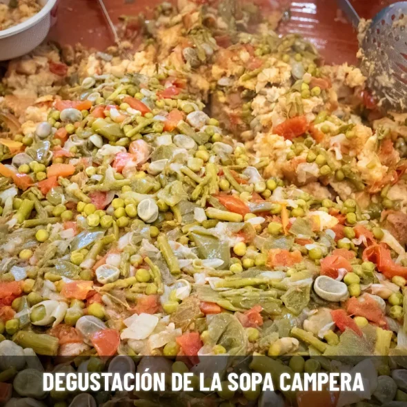 sopa campera de estepona