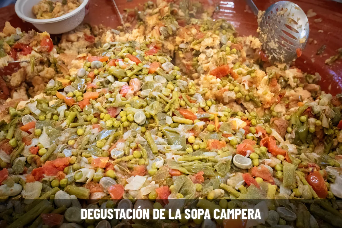 sopa campera de estepona